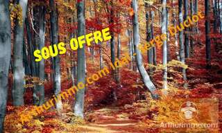 Terrain  4730 m² à vendre à Saint-Denis-en-Margeride (48700)