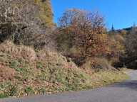 TERRAIN CONSTRUCTIBLE 651 m² — photo 3