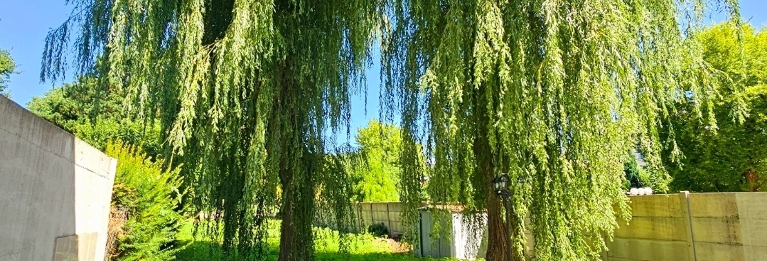 Maison 7 Pièces 120 m² à louer à Chelles (77500)