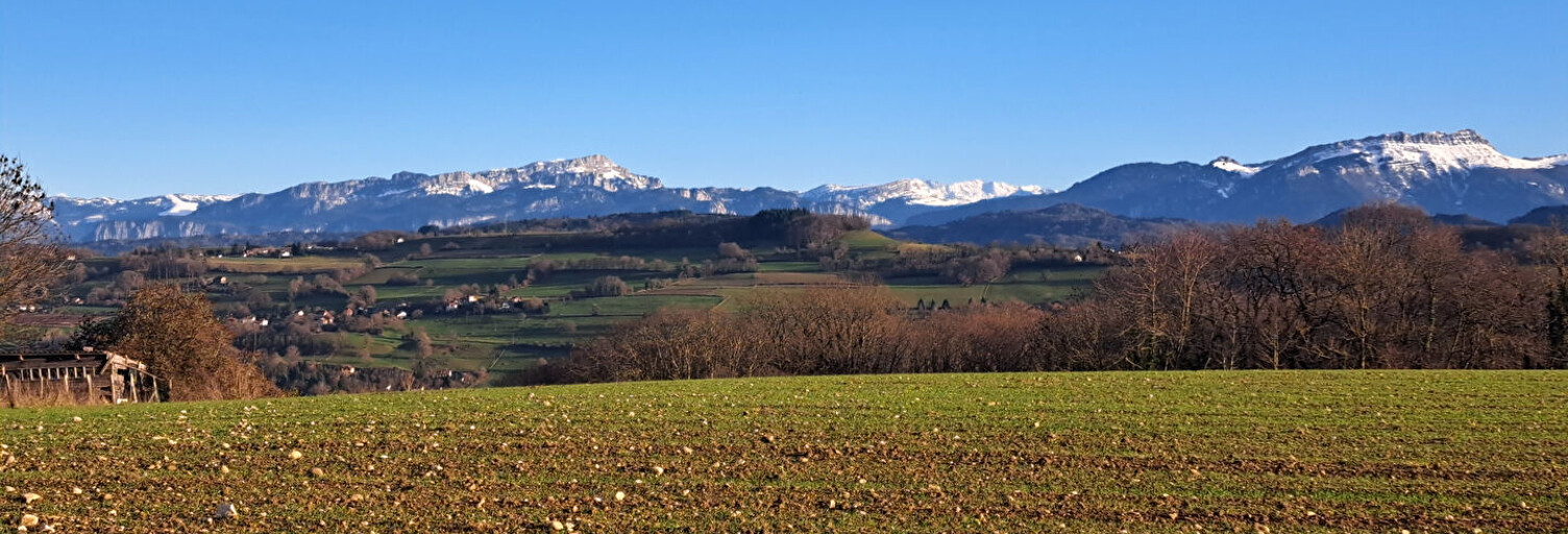 Terrain  1506 m² à vendre à Villages du Lac de Paladru (38850)