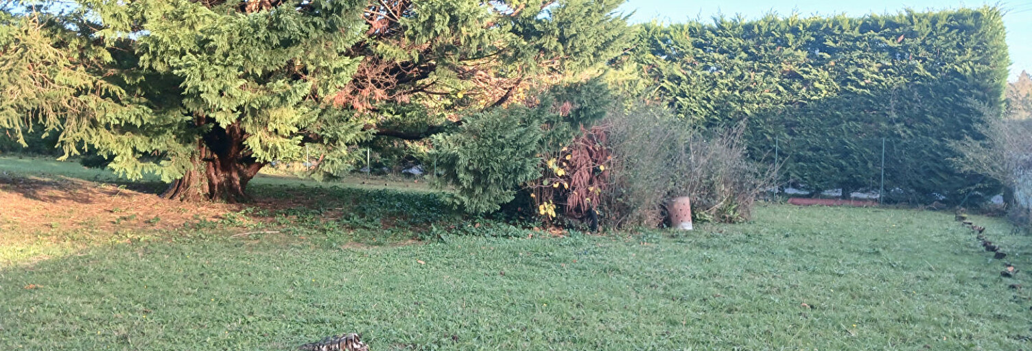 Terrain  680 m² à vendre à Saint-Pée-sur-Nivelle (64310)