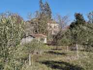 Propriété agricole — photo 4