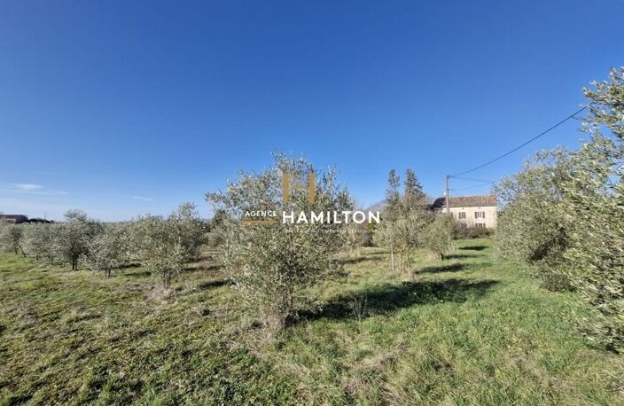 Propriété agricole — photo 5