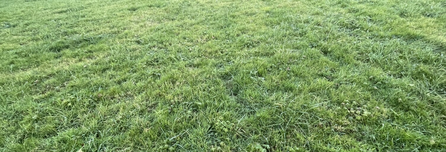 Terrain  3180 m² à vendre à Brive-la-Gaillarde (19100)