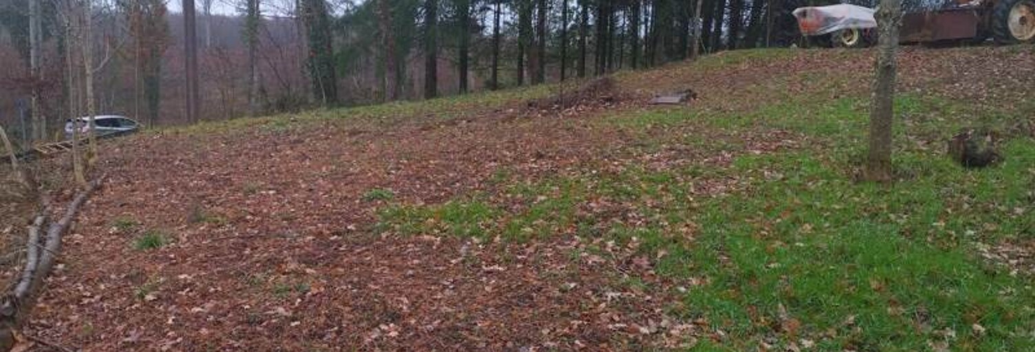 Terrain  784 m² à vendre à Naves (19460)