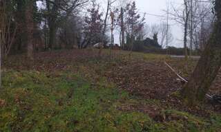 Terrain  784 m² à vendre à Naves (19460)