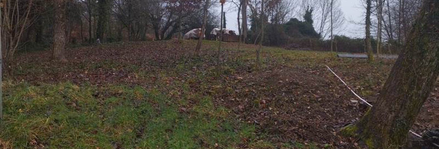 Terrain  784 m² à vendre à Naves (19460)