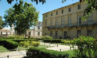 Appartement 1 Pièce 26 m² à louer à Montpellier (34000)