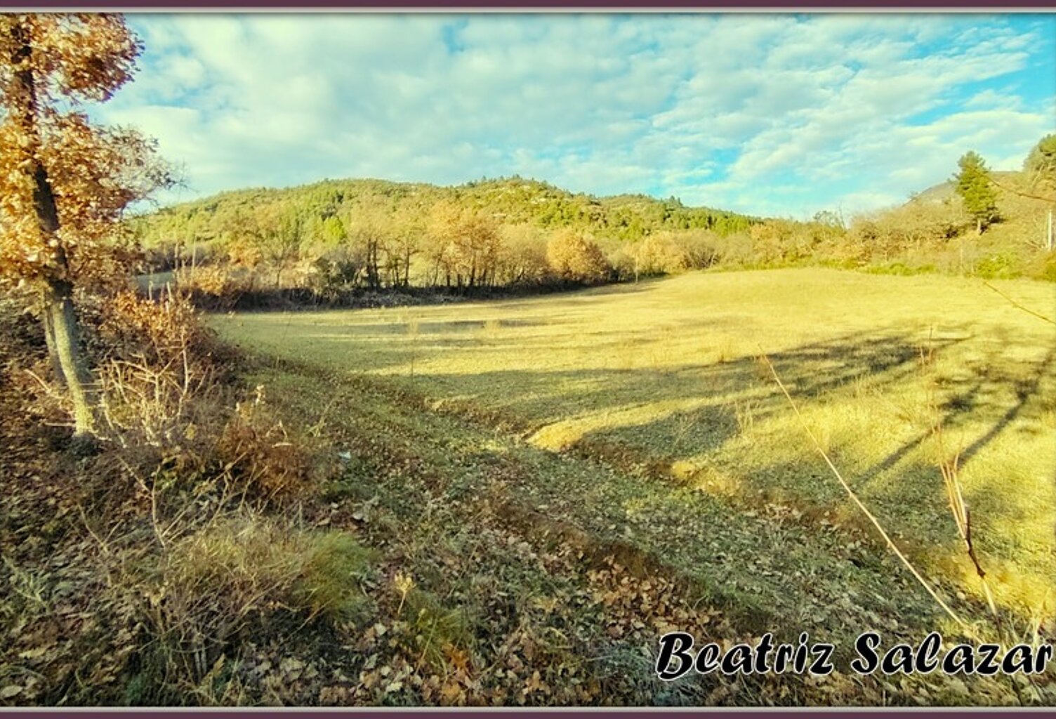 A vendre à 10mn de Digne-les-Bains, terrain à bâtir de 16 523,00 m² MEZEL (04) — photo 1
