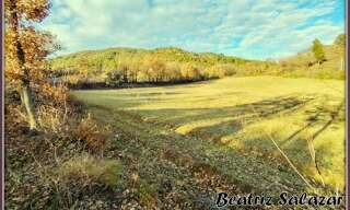 Terrain  16523 m² à vendre à Mézel (04270)