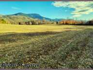 A vendre à 10mn de Digne-les-Bains, terrain à bâtir de 16 523,00 m² MEZEL (04) — photo 2