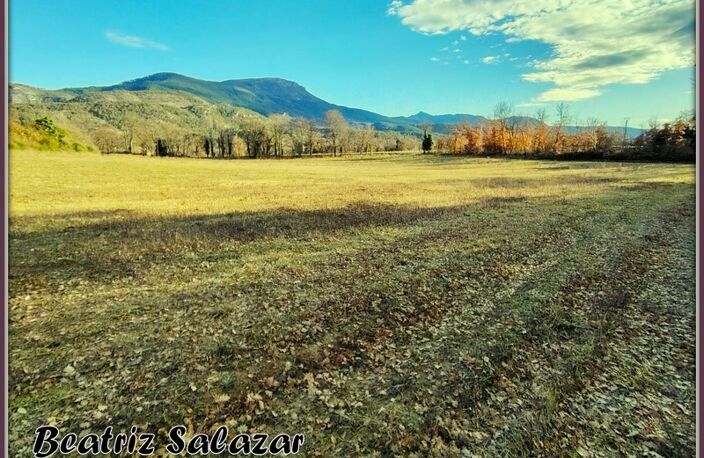 A vendre à 10mn de Digne-les-Bains, terrain à bâtir de 16 523,00 m² MEZEL (04) — photo 2