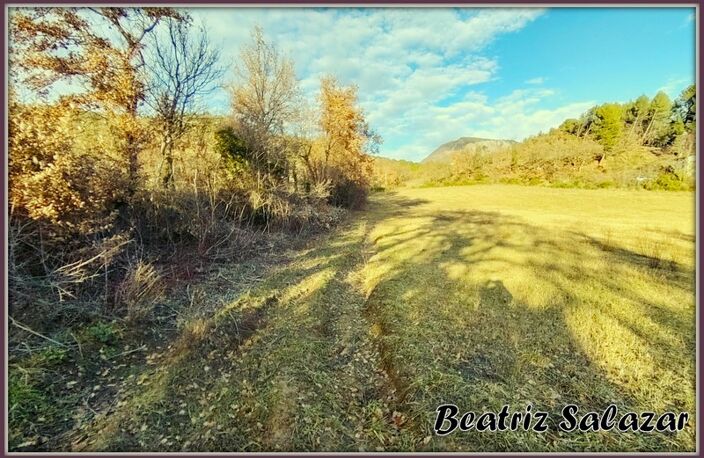 A vendre à 10mn de Digne-les-Bains, terrain à bâtir de 16 523,00 m² MEZEL (04) — photo 3