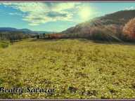 A vendre à 10mn de Digne-les-Bains, terrain à bâtir de 16 523,00 m² MEZEL (04) — photo 4