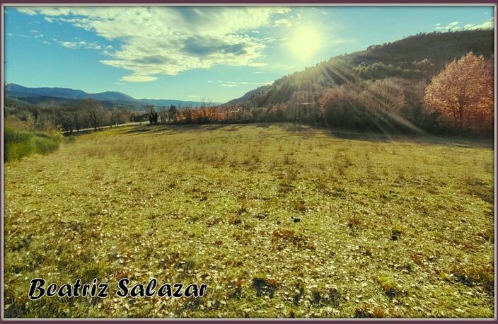 A vendre à 10mn de Digne-les-Bains, terrain à bâtir de 16 523,00 m² MEZEL (04) — photo 4