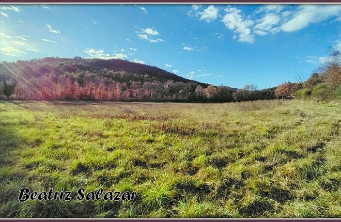 A vendre à 10mn de Digne-les-Bains, terrain à bâtir de 16 523,00 m² MEZEL (04) — photo 5
