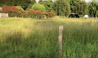 Maison 60 m² à construire Le Teich (33470)