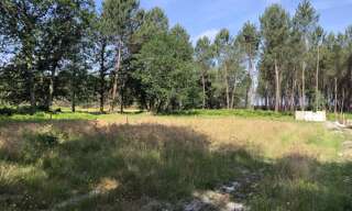 Maison 100 m² à construire Gujan-Mestras (33470)