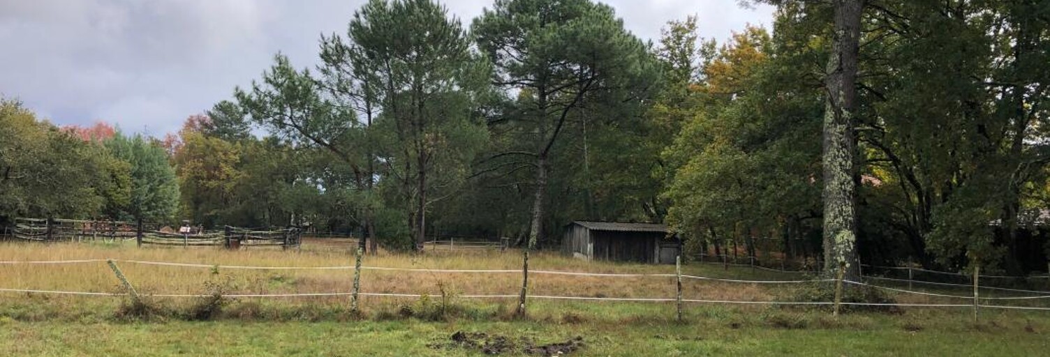 Maison 85 m² à construire Salles (33770)