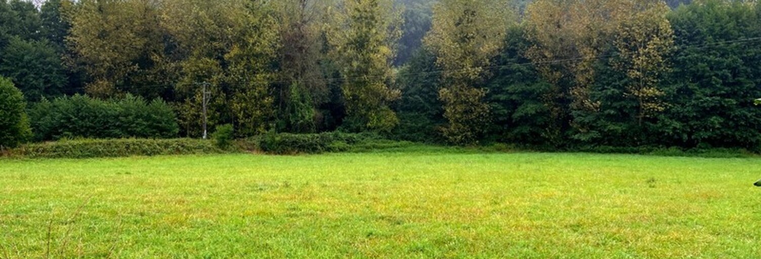 Terrain  1700 m² à vendre à Courdemanche (72150)