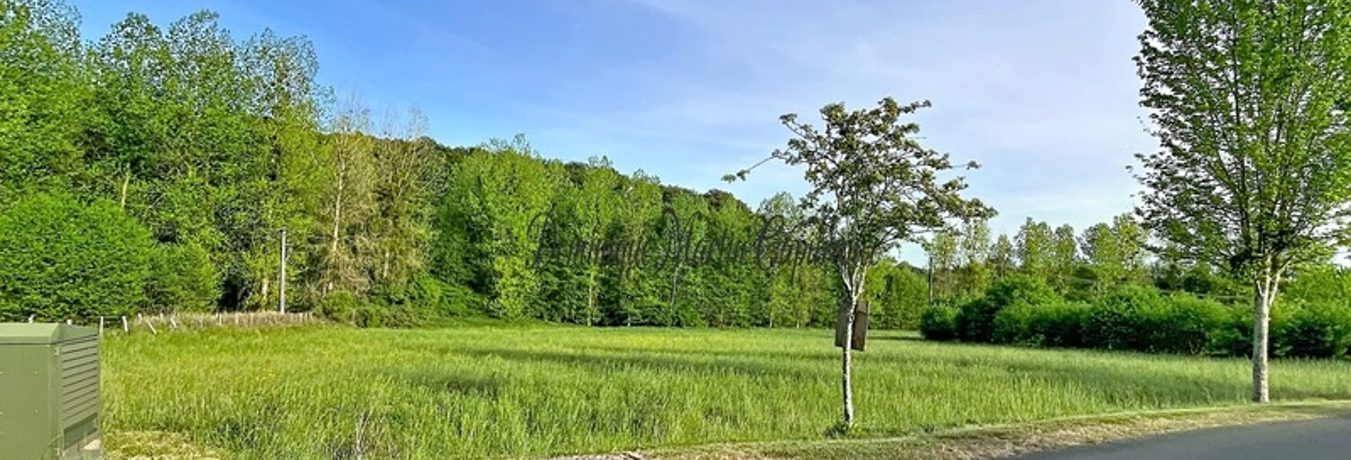 Terrain  1700 m² à vendre à Courdemanche (72150)