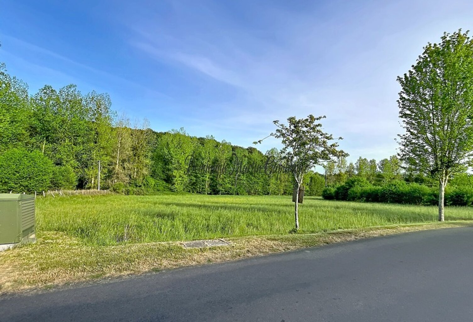 À vendre – Terrain constructible à Courdemanche (72150) – 3 175 m² en pleine nature, à 650 m des commodités — photo 1