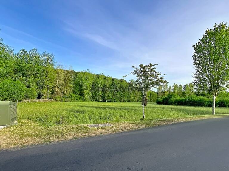 À vendre – Terrain constructible à Courdemanche (72150) – 3 175 m² en pleine nature, à 650 m des commodités — photo 1