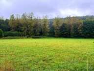 À vendre – Terrain constructible à Courdemanche (72150) – 3 175 m² en pleine nature, à 650 m des commodités — photo 4