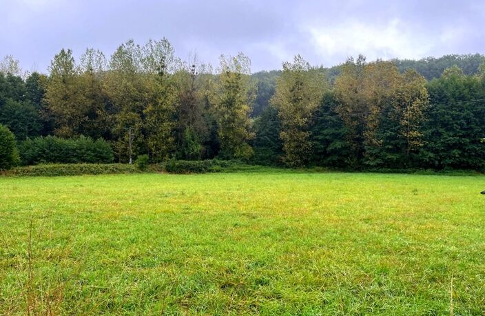 À vendre – Terrain constructible à Courdemanche (72150) – 3 175 m² en pleine nature, à 650 m des commodités — photo 4