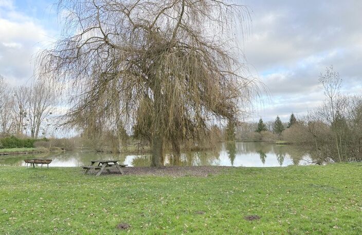 Terrain de loisir avec étangs proche de la Ferté-Bernard (72400) — photo 3
