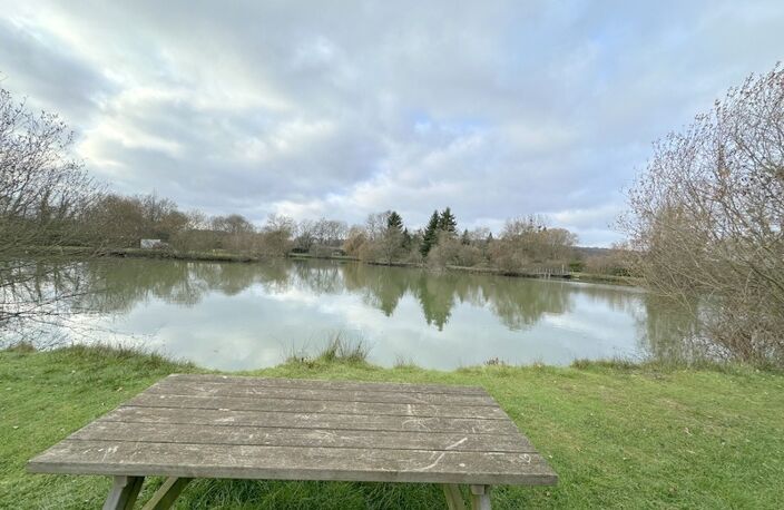 Terrain de loisir avec étangs proche de la Ferté-Bernard (72400) — photo 5