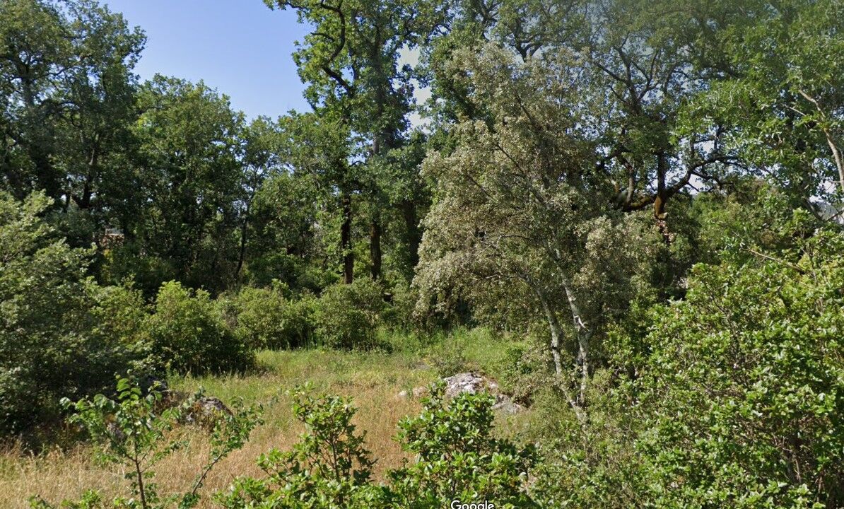 Terrain  à vendre Brignoles 83170