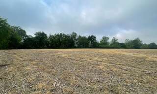 Terrain  2500 m² à vendre à Toujouse (32240)