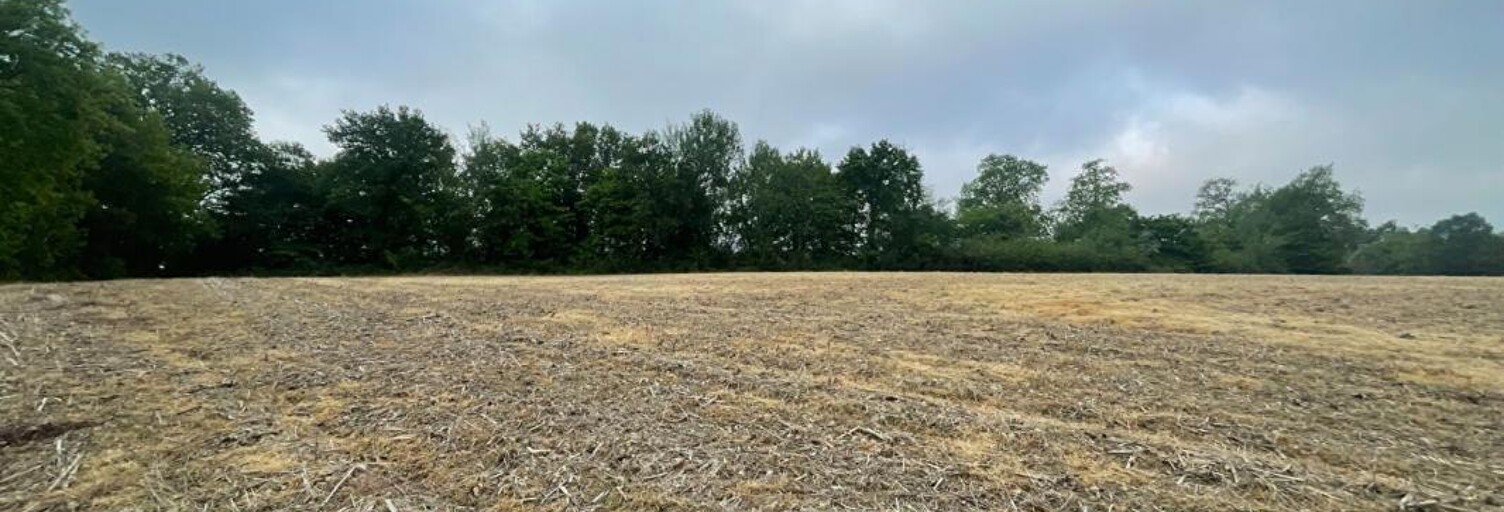 Terrain  2500 m² à vendre à Toujouse (32240)