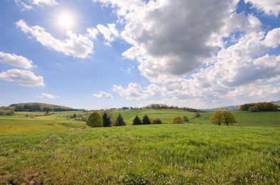 Maison 4 pièces 95000 €