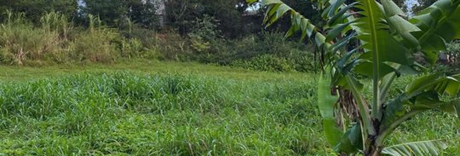 Terrain  772 m² à vendre à Sainte-Marie (97438)