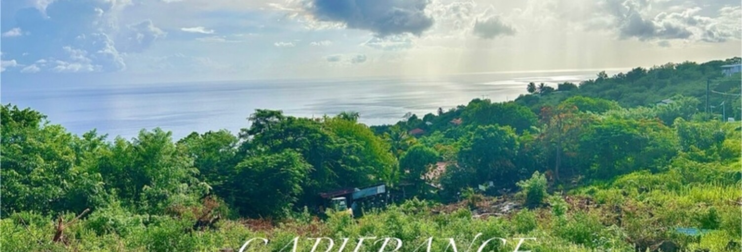 Terrain  1606 m² à vendre à Bellefontaine (97222)