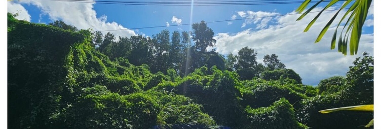 Terrain  1041 m² à vendre à Pointe-Noire (97116)