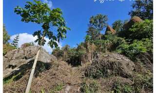 Terrain  1041 m² à vendre à Pointe-Noire (97116)