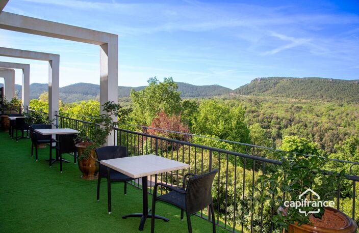 Maison d'hôtes de charme avec piscine à vendre à BAGNOLS EN FORET (83) — photo 3
