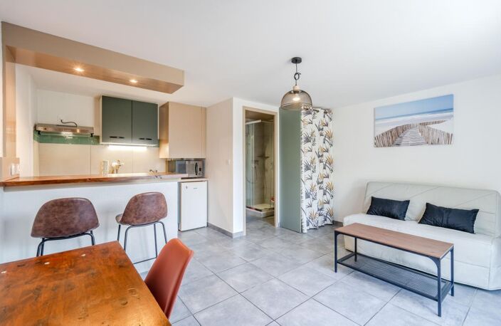 Studio climatisé, meublé et rénové avec parking, Aire sur l'Adour — photo 4