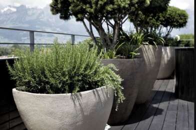 Appartement 3 pièces 389500 €