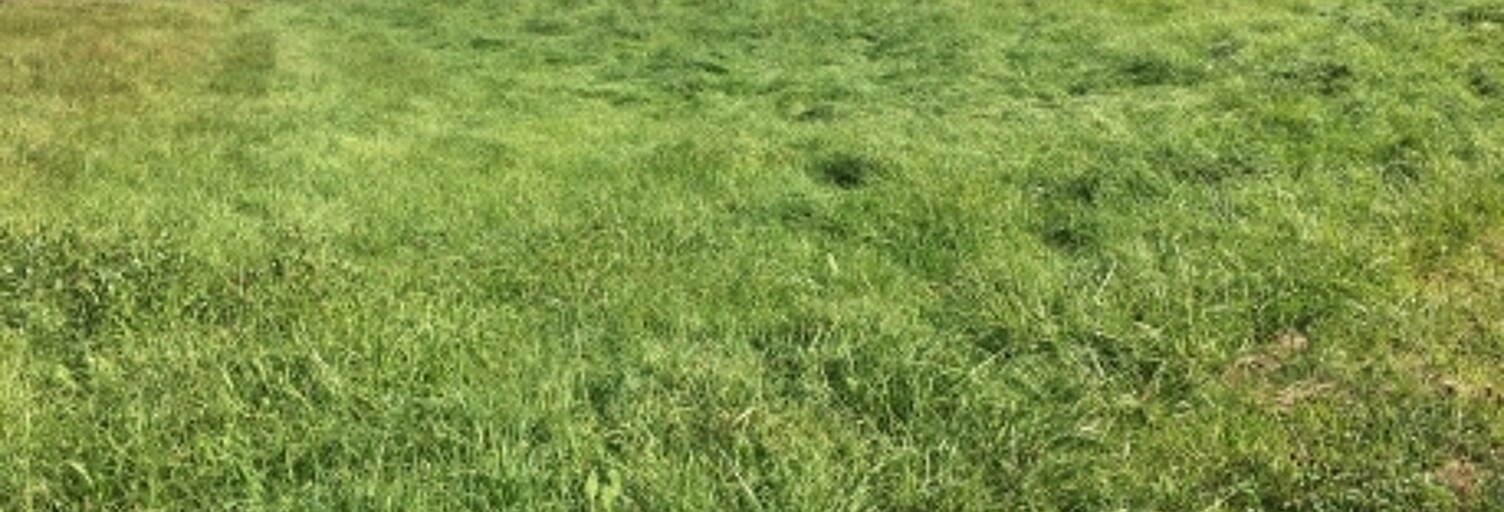 Terrain  1393 m² à vendre à Chavannes-sur-l'Étang (68210)