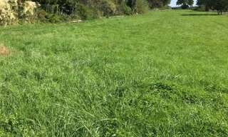 Terrain  978 m² à vendre à Chavannes-sur-l'Étang (68210)