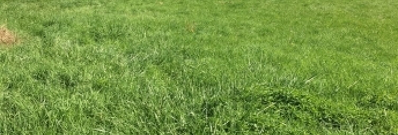 Terrain  978 m² à vendre à Chavannes-sur-l'Étang (68210)