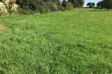 Terrain  69000 €