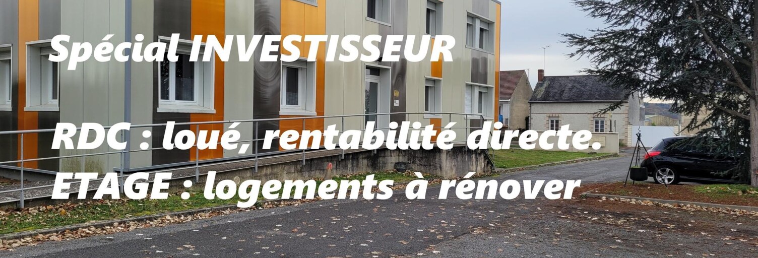 Immeuble  438 m² à vendre à Descartes (37160)