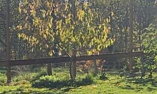 Terrain  860 m² à vendre à Louchats (33125)