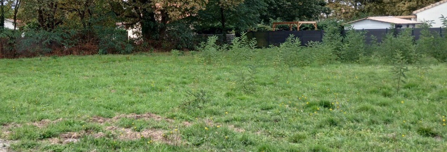 Terrain  640 m² à vendre à Hostens (33125)