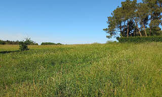 Terrain  5878 m² à vendre à Échourgnac (24410)